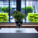 Skull Head Flower Pot