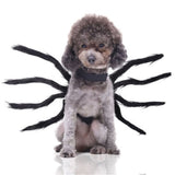 Dog and Cat spider/scorpion costume