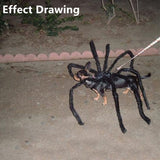 Dog and Cat spider/scorpion costume