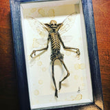 Mummified fairy