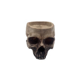 Skull Head Flower Pot