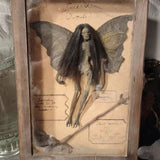 Mummified fairy