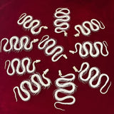 Taxidermy Animal Skull