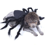 Dog and Cat spider/scorpion costume