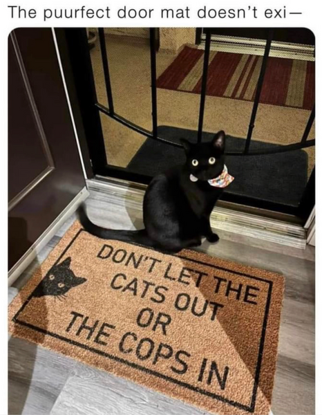 Don’t Let The Cats Out or The Cops In Door Mat