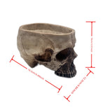 Skull Head Flower Pot