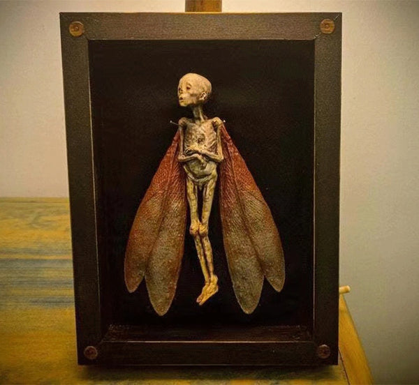 Cursed Dead Fairy Shadow Box